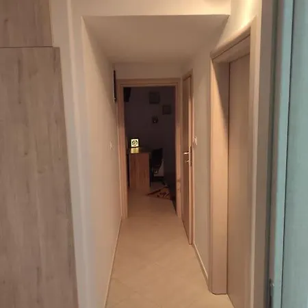 Apartment In The Center Of